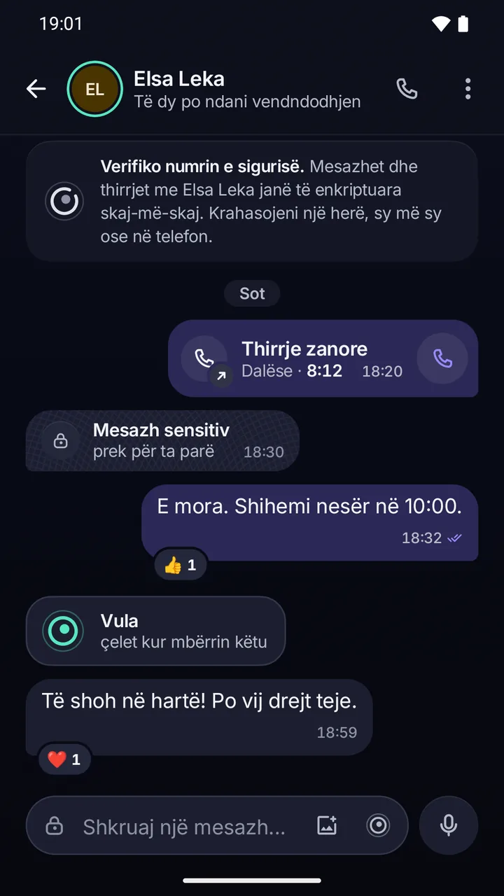 Biseda me Elsa Leka: lart shënimi që mesazhet dhe thirrjet janë të fshehtëzuara skaj-më-skaj; poshtë një thirrje zanore, një mesazh sensitiv i mbuluar dhe një mesazh i vulosur.